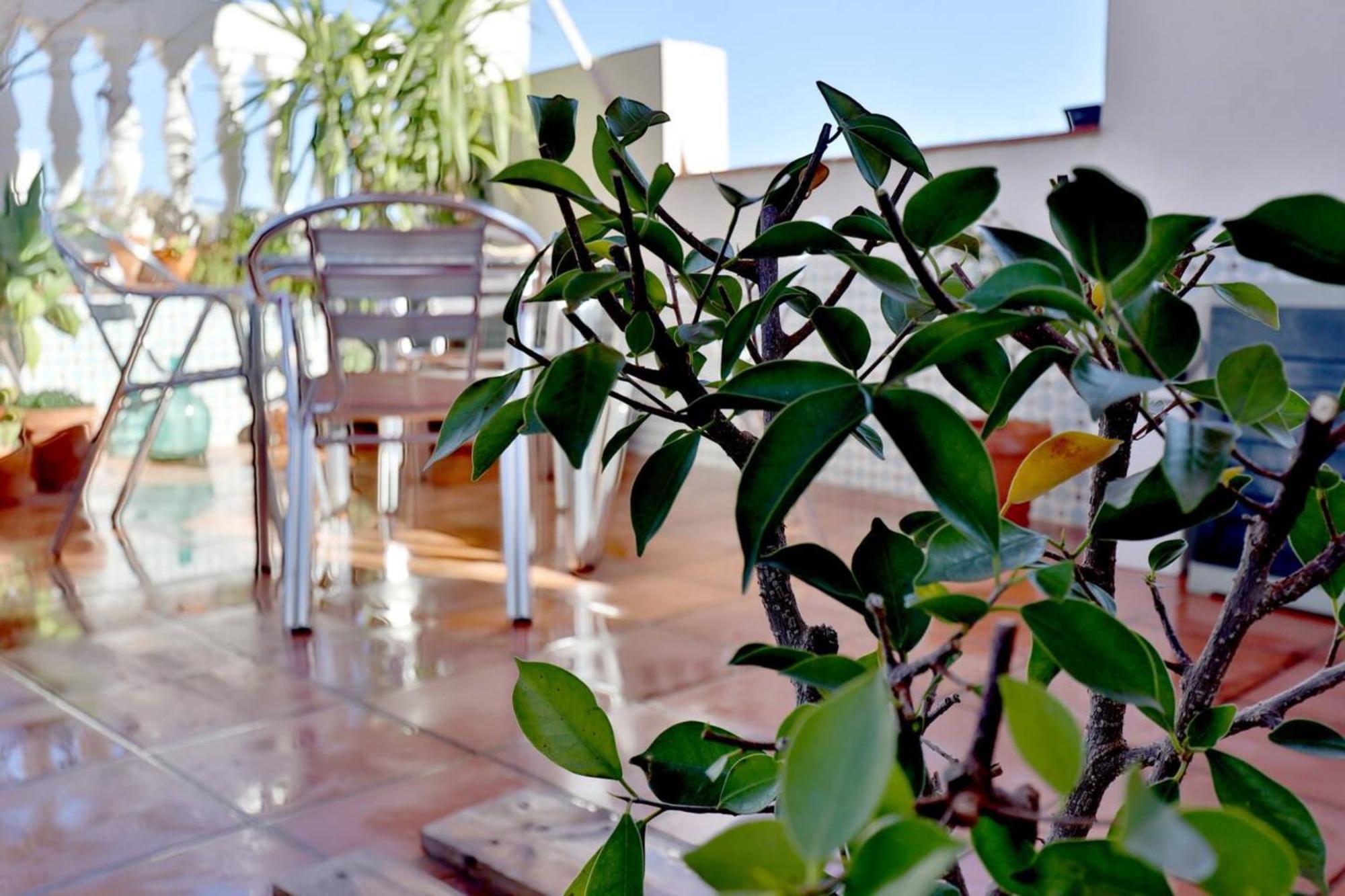 Atico Con Terraza En Pleno Centro Appartement Córdoba Buitenkant foto